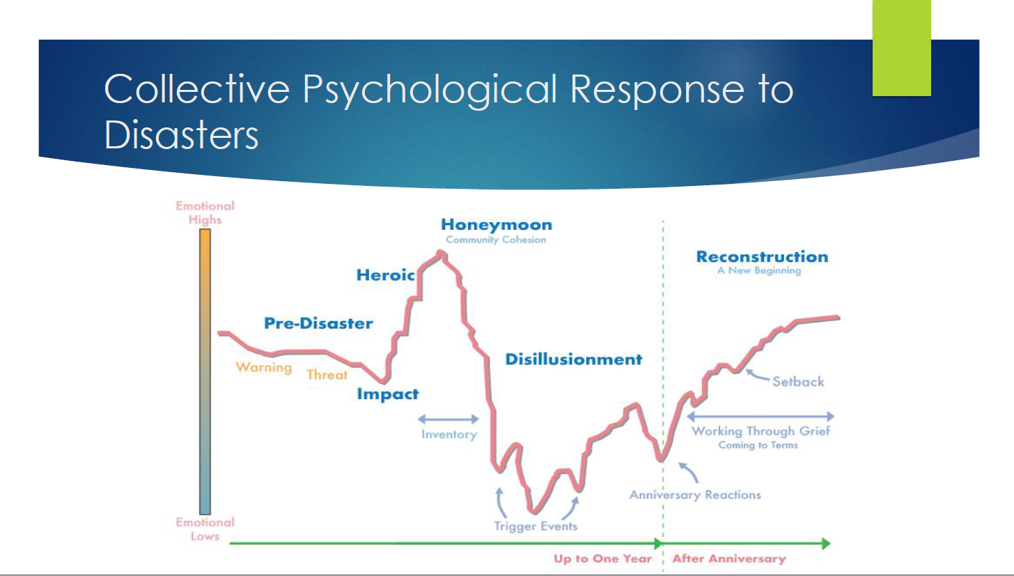 Collective Psychological Response To Disasters